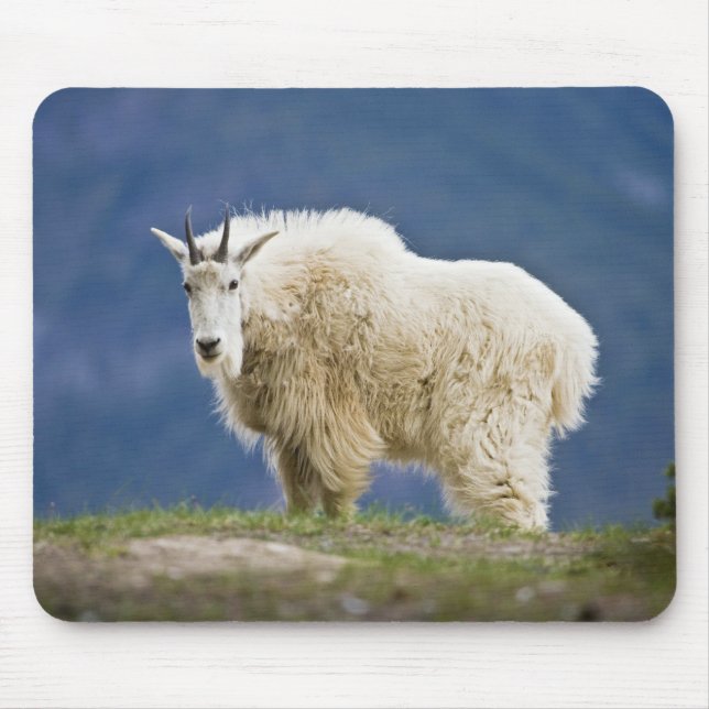 Alfombrilla De Ratón Canadá, Alberta, Parque Nacional Jasper, (Frente)