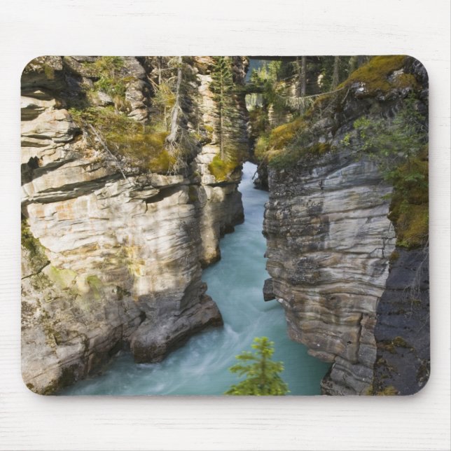 Alfombrilla De Ratón Canadá, Alberta, Parque Nacional Jasper, Athabasca (Frente)