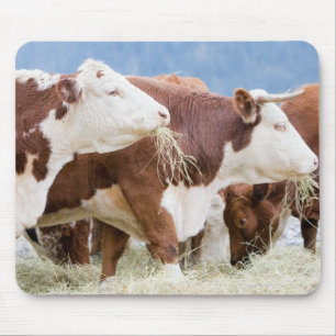 Alfombrilla De Ratón Canadá, Columbia Británica, Pemberton