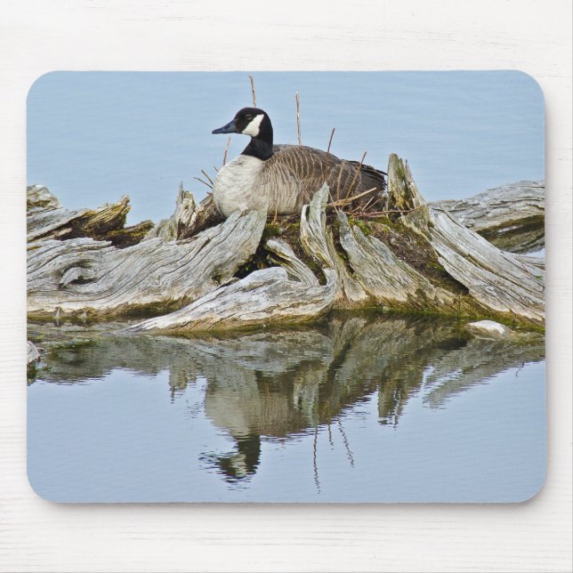 Alfombrilla De Ratón Canada Goose (Frente)