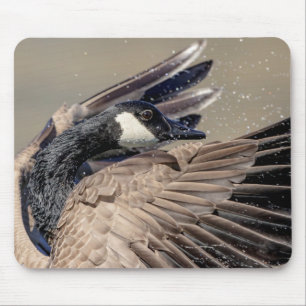 Alfombrilla De Ratón Canada Goose
