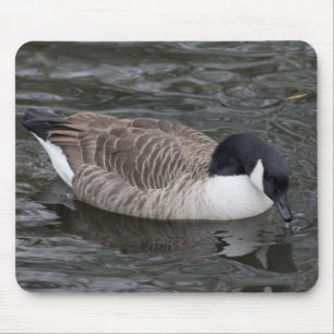 Alfombrilla De Ratón Canada Goose