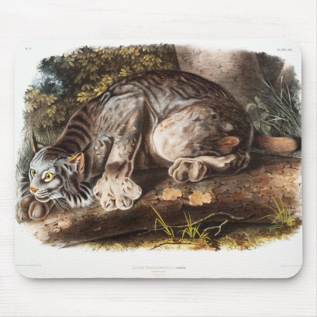 Alfombrilla De Ratón Canada Lynx (Frente)