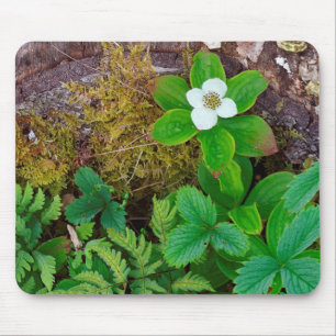 Alfombrilla De Ratón Canadá, Nueva Brunswick, , 2