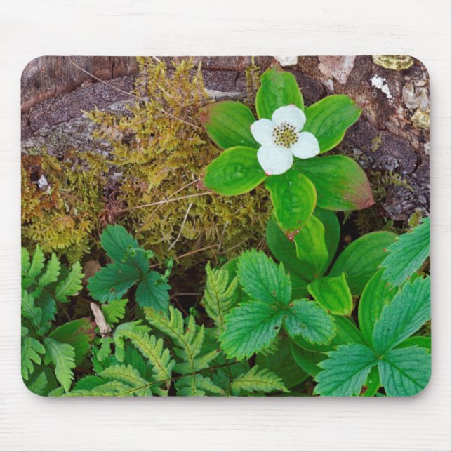 Alfombrilla De Ratón Canadá, Nueva Brunswick, , 2 (Frente)