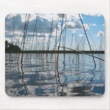 Cañas y reflejos en el lago Rice