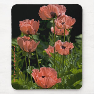 Alfombrilla De Ratón Candy Pops Mousemat