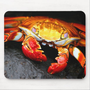 Alfombrilla De Ratón Cangrejo de las Islas Galápagos