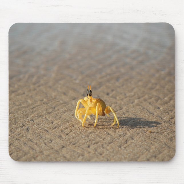Alfombrilla De Ratón cangrejo, mar, océano (Frente)