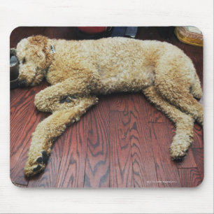 Alfombrilla De Ratón Caniche estándar que duerme en piso