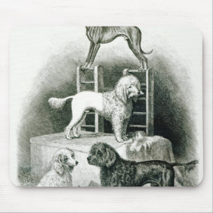 Alfombrilla De Ratón Caniches y Whippet - grupo de Sr. Walton