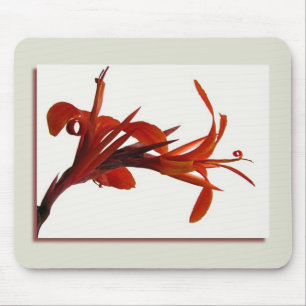 Alfombrilla De Ratón Canna Mousepad