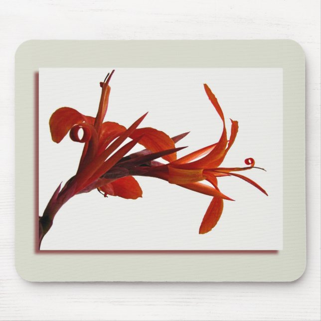 Alfombrilla De Ratón Canna Mousepad (Frente)