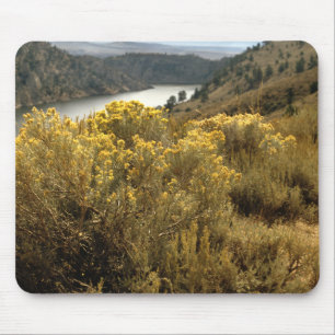 Alfombrilla De Ratón Cañón Colorado Colorido Cañón Brush Mousepad