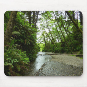 Alfombrilla De Ratón Cañón Fern II en el Parque Nacional Redwood
