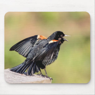 Alfombrilla De Ratón Canto de Red Wingbird