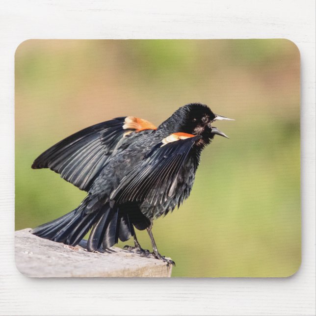 Alfombrilla De Ratón Canto de Red Wingbird (Frente)