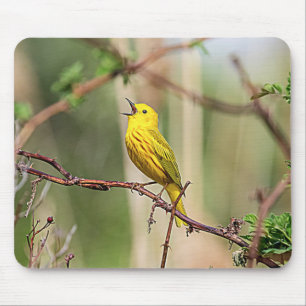Alfombrilla De Ratón Canto de Warbler amarillo
