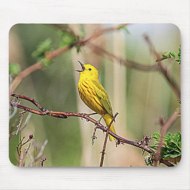 Alfombrilla De Ratón Canto de Warbler amarillo (Frente)