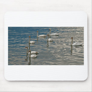 Alfombrilla De Ratón Canto del cisne