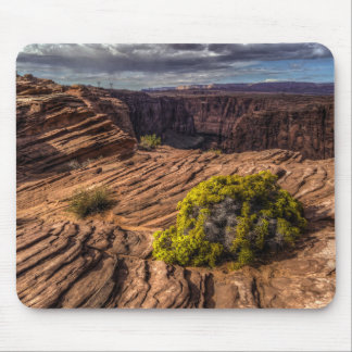 Alfombrilla De Ratón Canyon Resilience Mousepad