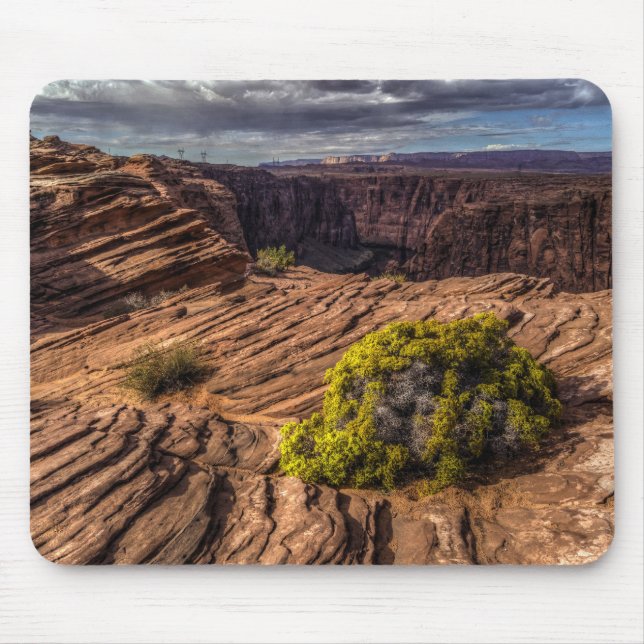 Alfombrilla De Ratón Canyon Resilience Mousepad (Frente)