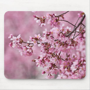 Alfombrilla De Ratón Capas pastel de rosa de flor de cerezo Sakura