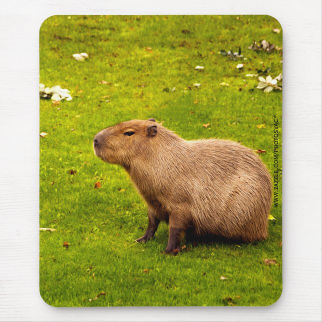 Alfombrilla De Ratón Capibara (Frente)