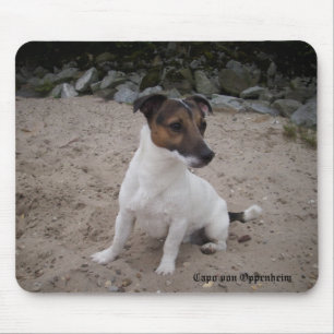 Alfombrilla De Ratón Capo von Oppenheim Jack Russell Terrier, Perro