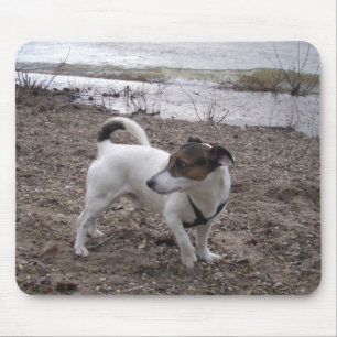 Alfombrilla De Ratón Capo von Oppenheim Jack Russell Terrier, Perro