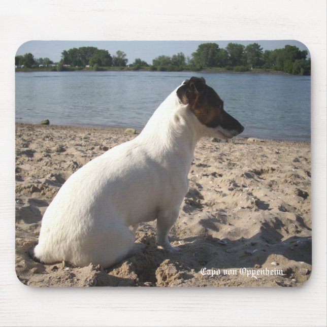 Alfombrilla De Ratón Capo von Oppenheim Jack Russell Terrier, Perro (Frente)