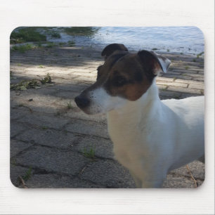 Alfombrilla De Ratón Capo von Oppenheim Jack Russell Terrier, Perro