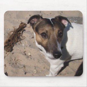 Alfombrilla De Ratón Capo von Oppenheim Jack Russell Terrier, Perro