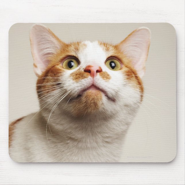 Alfombrilla De Ratón Captura de estudio de un gato mirando (Frente)