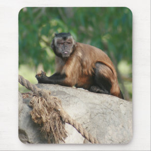 Alfombrilla De Ratón Capuchin Monkey Cul pero Cranky
