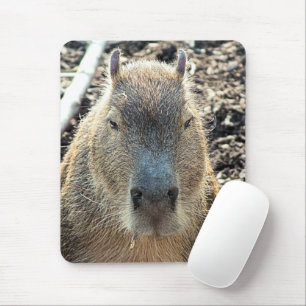 ALFOMBRILLA DE RATÓN CAPYBARA