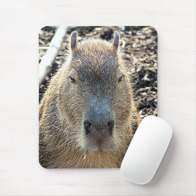 ALFOMBRILLA DE RATÓN CAPYBARA (Con ratón)