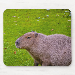 Alfombrilla De Ratón Capybara Mousepad