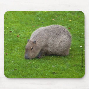 Alfombrilla De Ratón Capybara Mousepad