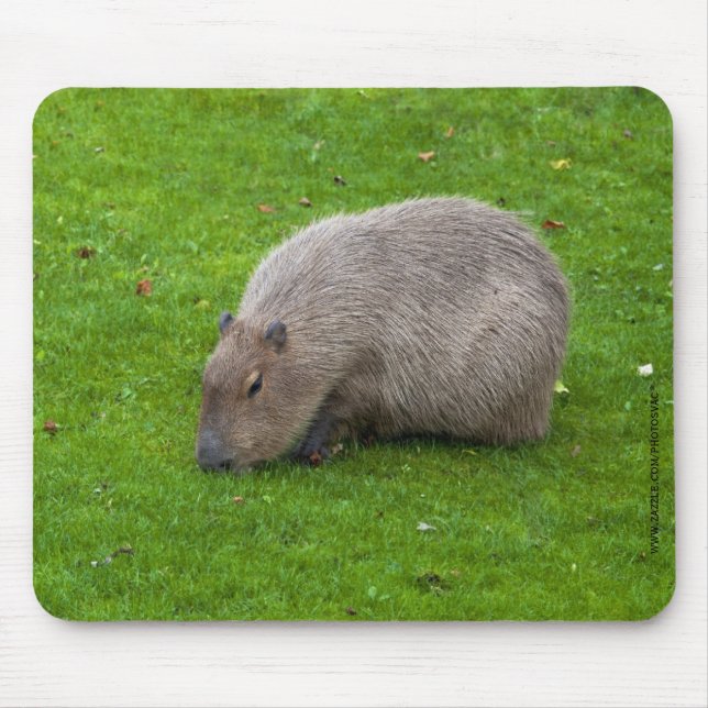 Alfombrilla De Ratón Capybara Mousepad (Frente)