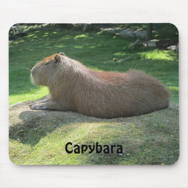 Alfombrilla De Ratón Capybara - Roedor Gigante (Frente)