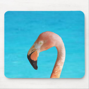 Alfombrilla De Ratón Cara de flamenco rosa contra agua azul en un