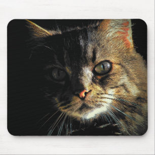 Alfombrilla De Ratón Cara de gato Maine Coon