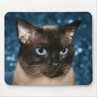 Alfombrilla De Ratón Cara de gato siamesa