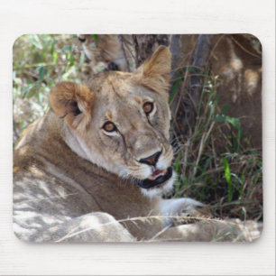 Alfombrilla De Ratón cara de león