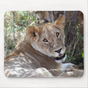 Alfombrilla De Ratón cara de león