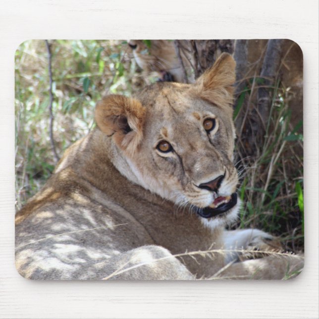 Alfombrilla De Ratón cara de león (Frente)