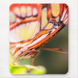 Alfombrilla De Ratón Cara de mariposa Naturaleza