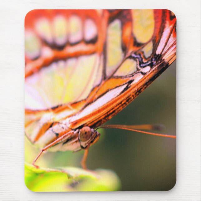 Alfombrilla De Ratón Cara de mariposa Naturaleza (Frente)