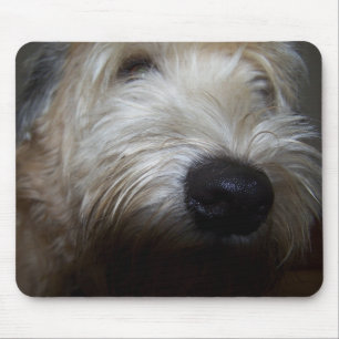 Alfombrilla De Ratón Cara de trigo del perro de Terrier